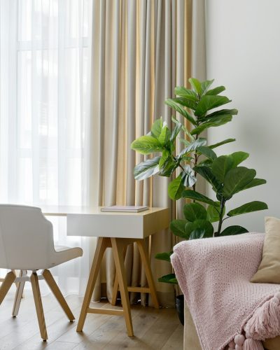 yevhenii-deshko-0Danb62aQcc-unsplash